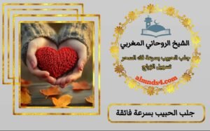 جلب الحبيب مضمون